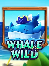 Whale Wild
